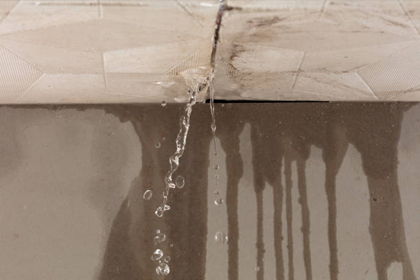 Professional Water Damage Repair technician working in Fairview, GA